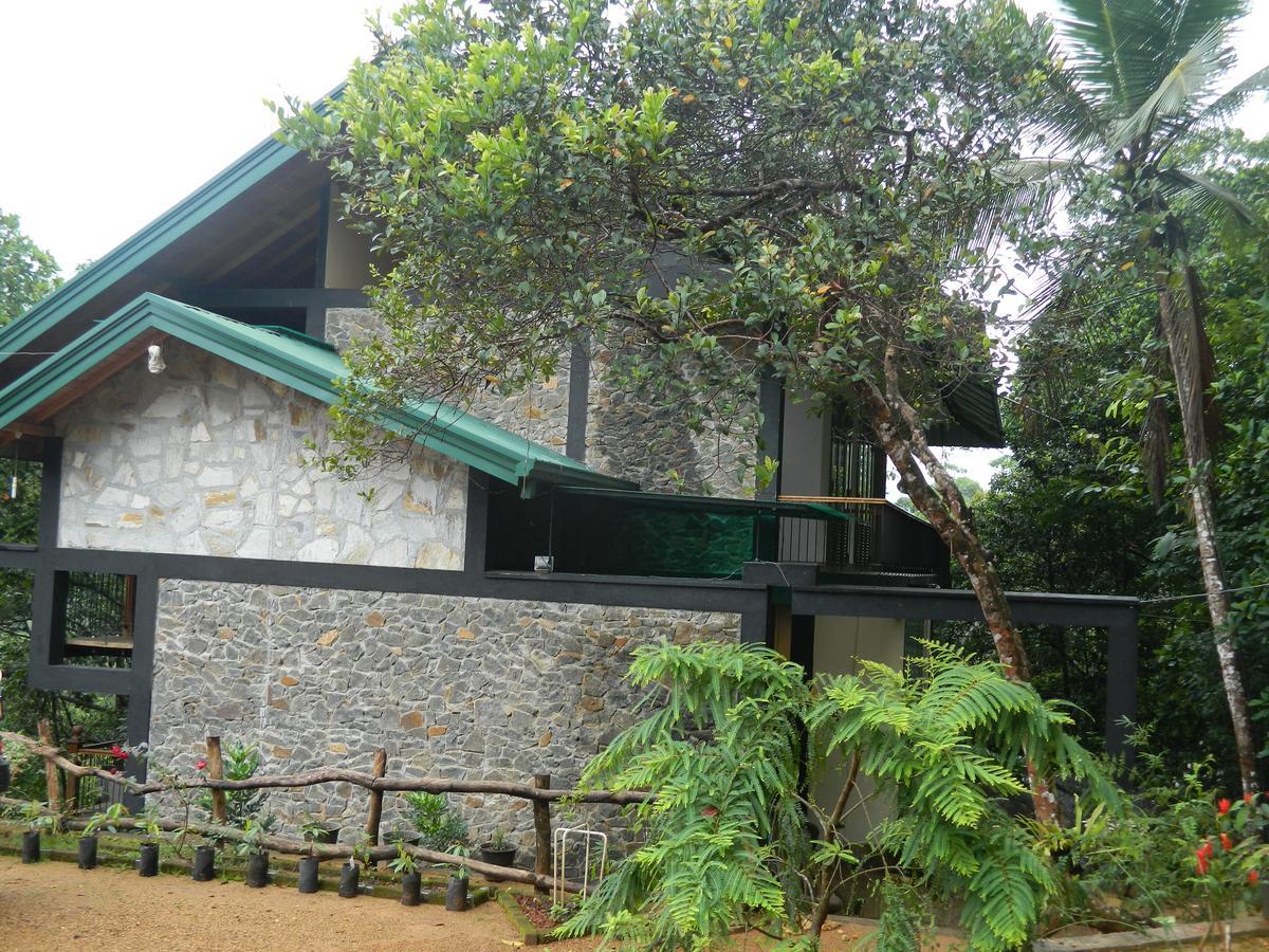 Birds Paradise Hotel Kudawe Zewnętrze zdjęcie